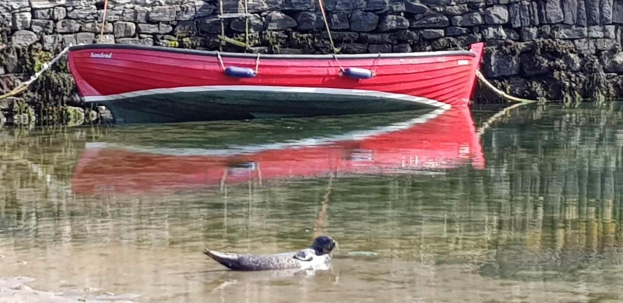 Driftwood Cottage, Portsoy Banff Bagian luar foto